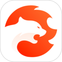 右豹app